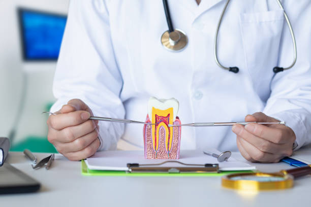 Best Emergency Treatment for Dental Infections or Abscesses in Heeia, HI
